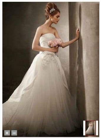 White by Vera Wang Bridal Gowns in Plus Sizes
