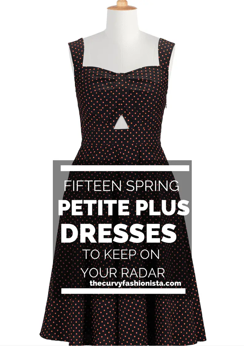 petite plus dresses on The Curvy Fashionista