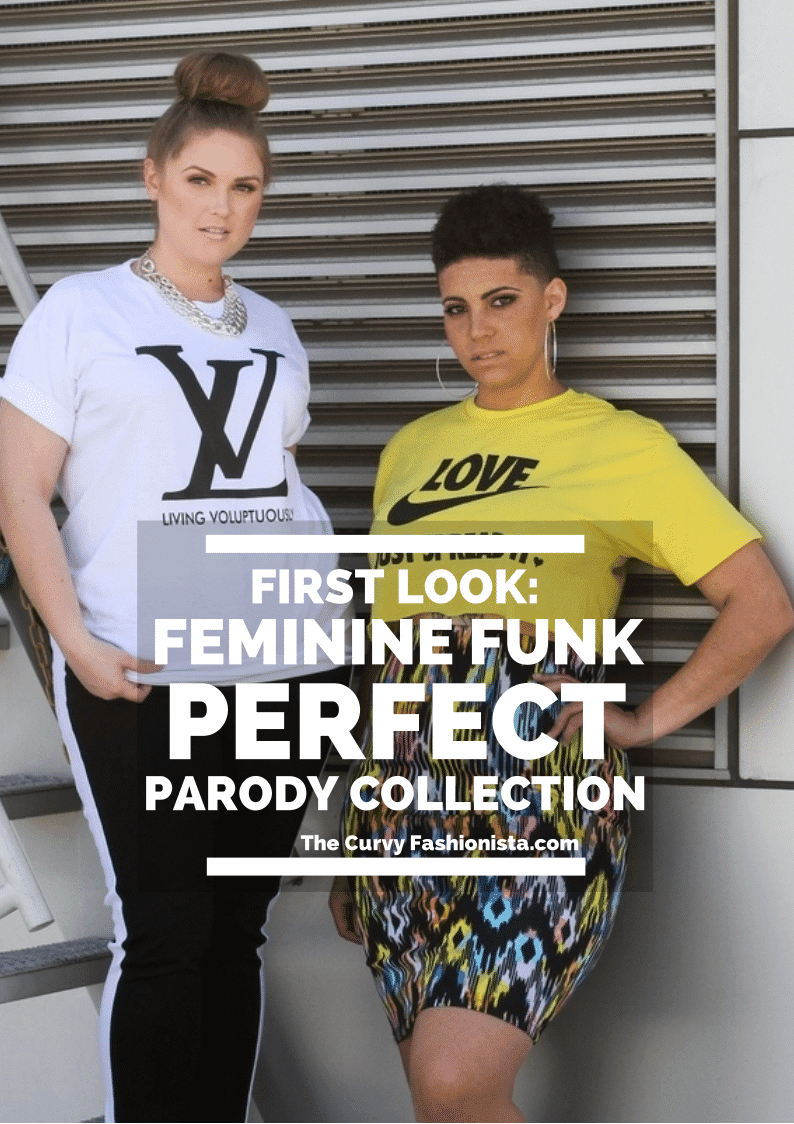 Feminine Funk Plus Size Tees Look Book on The Curvy Fashionista