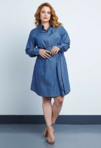 The Plus Size Denim Dress and 10 Picks for You On TheCurvyFashionista.com