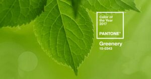 Pantone Color of the Year 2017 Greenery 15 0343