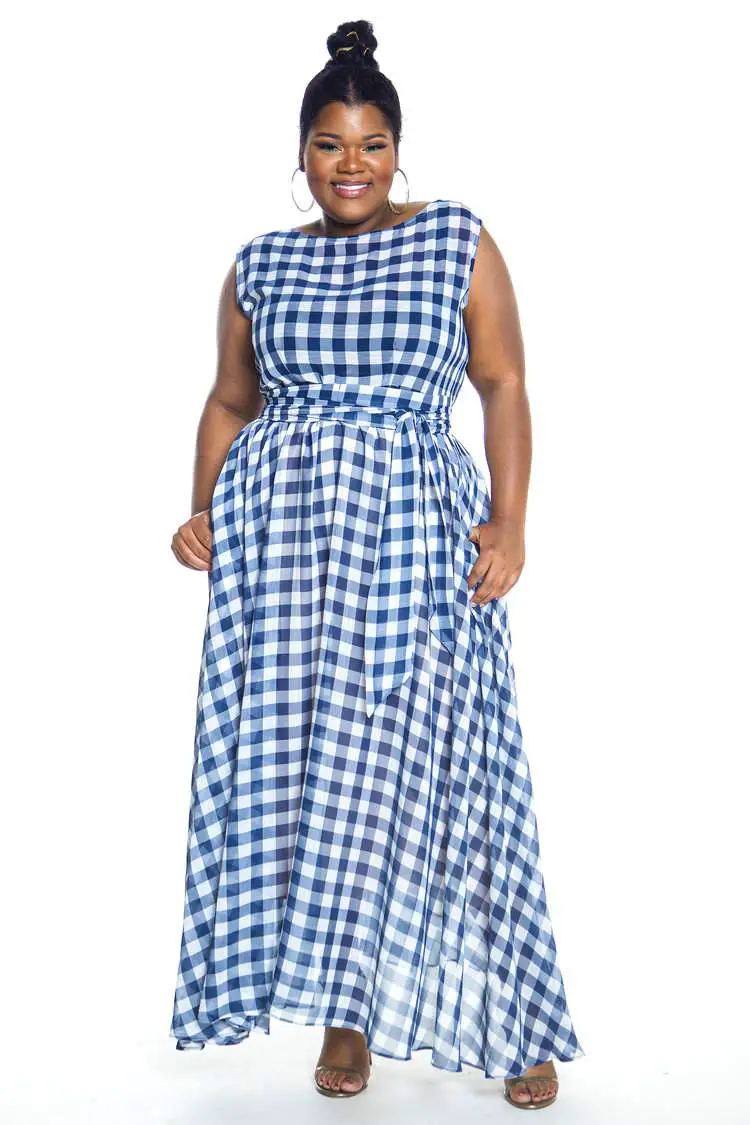 Plus size hotsell blue gingham dress