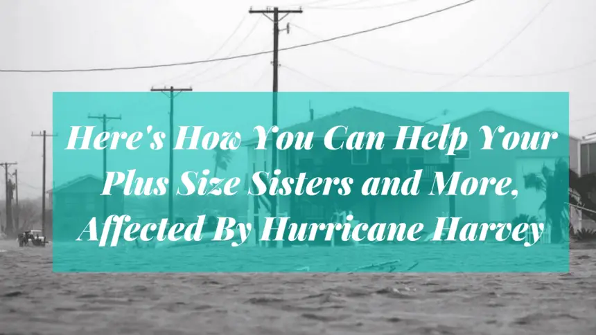 hurricane Harvey, Texas, Houston, help survivors