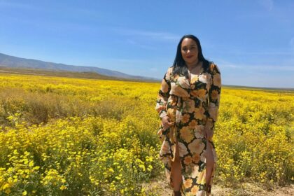 Plus Size Fashion Blogger Spotlight: Amy of The Chief of Style