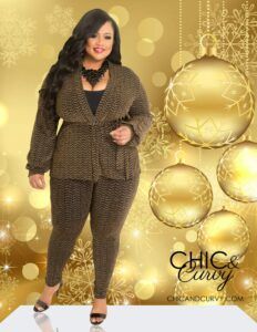 Chic & Curvy Holiday Collection