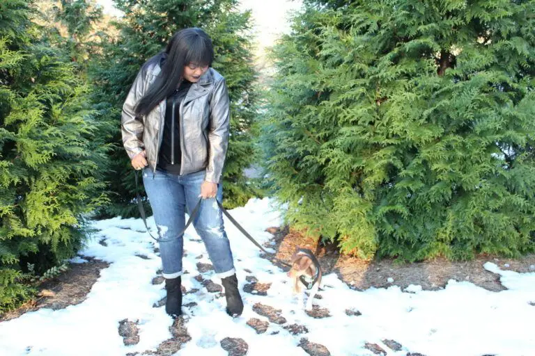 The Curvy Fashionista- Macys plus size holiday fashion