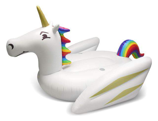 Plus Size Friendly Pool Floaties- Unicorn Pool Float