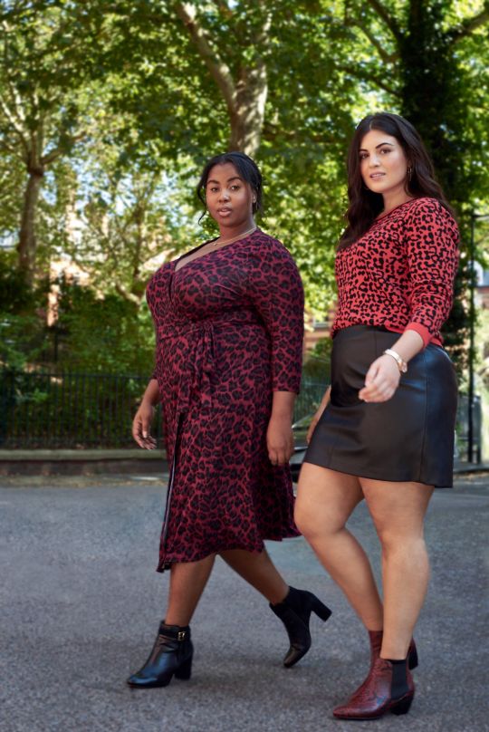 Oasis Plus Size Collection