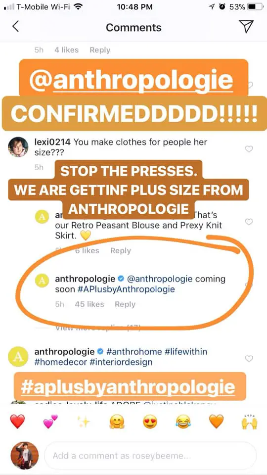 Anthropologie Plus sizes