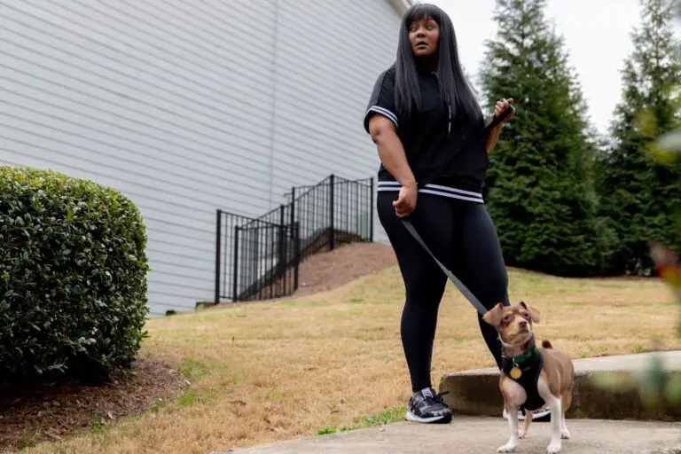 Plus Size Good American Activewear
