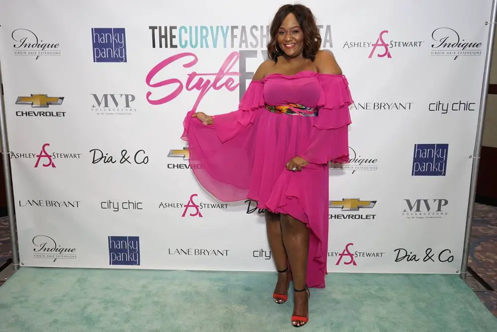 Plus Size Pink Dress