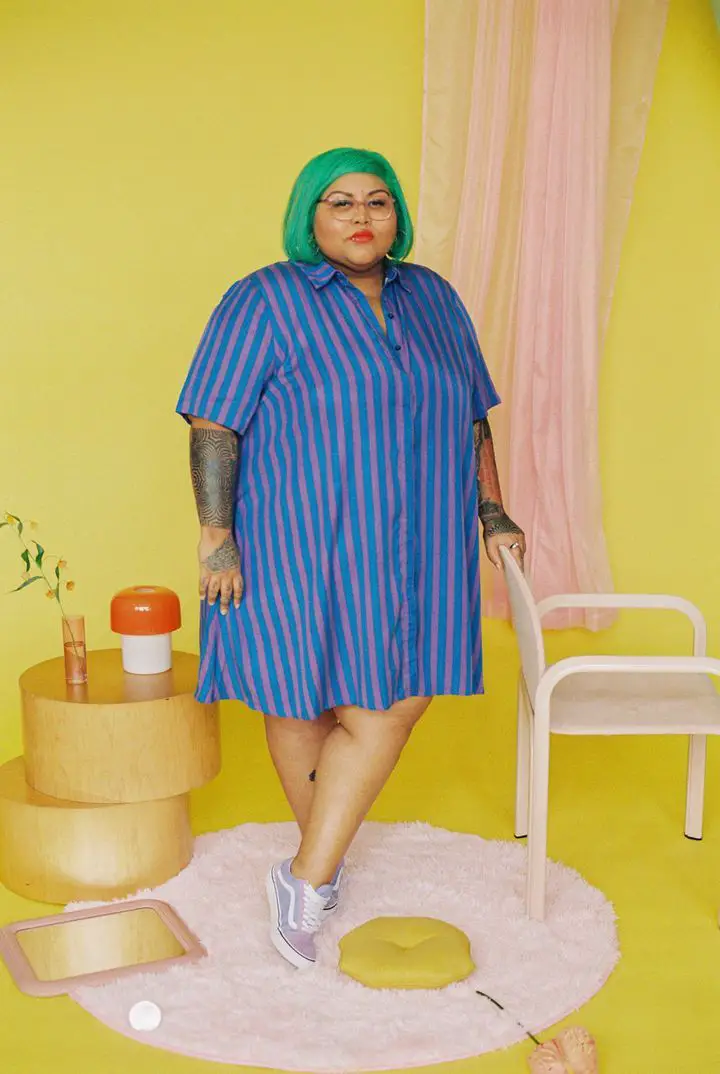 Aidy Bryant Pauline Collection- the lovington dress in stripe