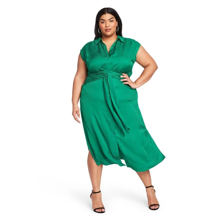 Leopard Print Tie-Front Shirtdress - CUSHNIE for Target