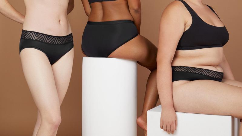 Thinx Plus size Period Panties