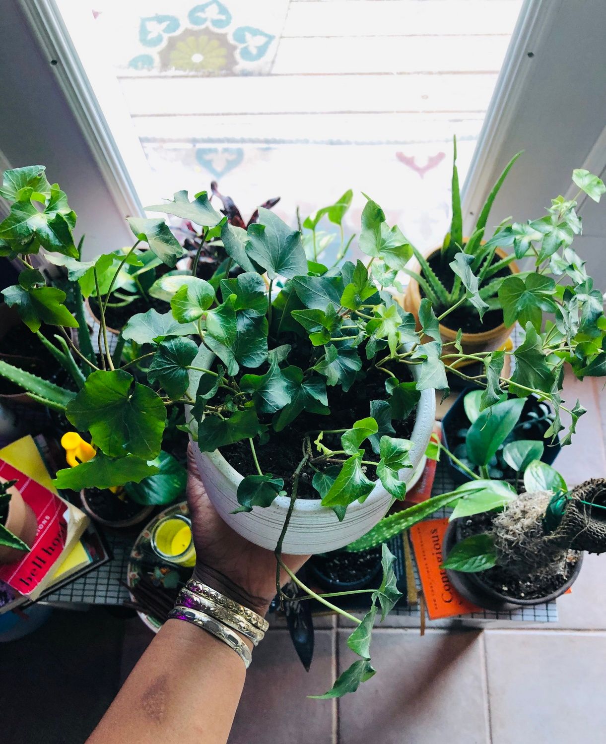 Creating Intentional Botanical Spaces- English Ivy