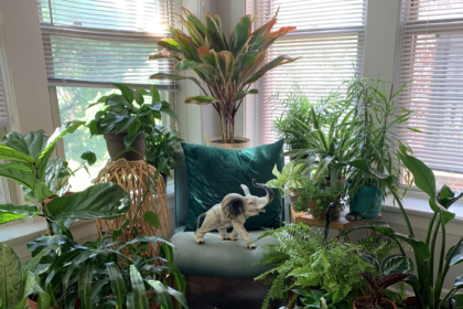 Creating Intentional Botanical Spaces- @_justIVES