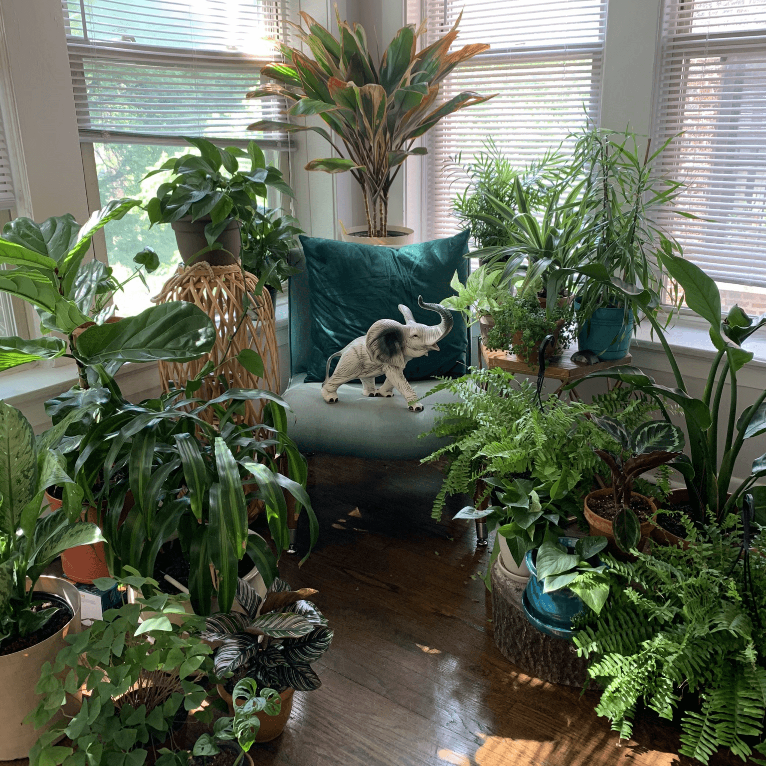 Creating Intentional Botanical Spaces- @_justIVES 