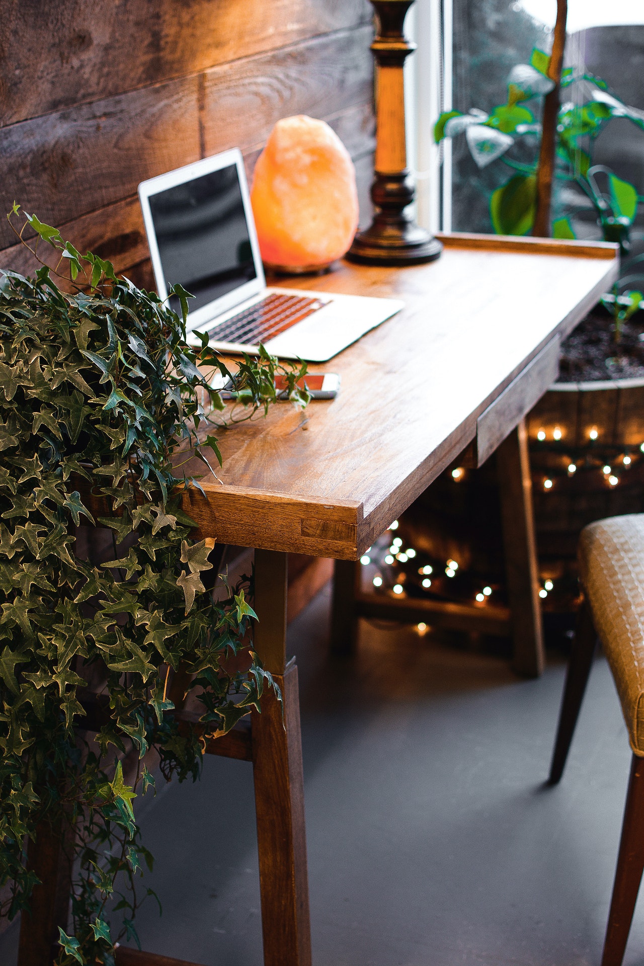 Home office with laptop and plants