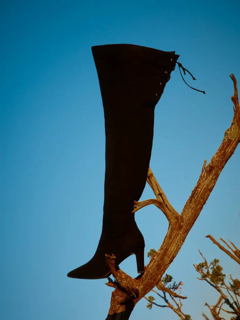 4 Plus-Size Thigh-High Boots by Nadia Aboulhson at Fashion to Figure (2)