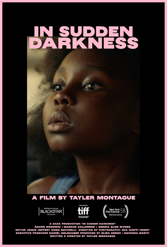 'In Sudden Darkness' by Tayler Montague