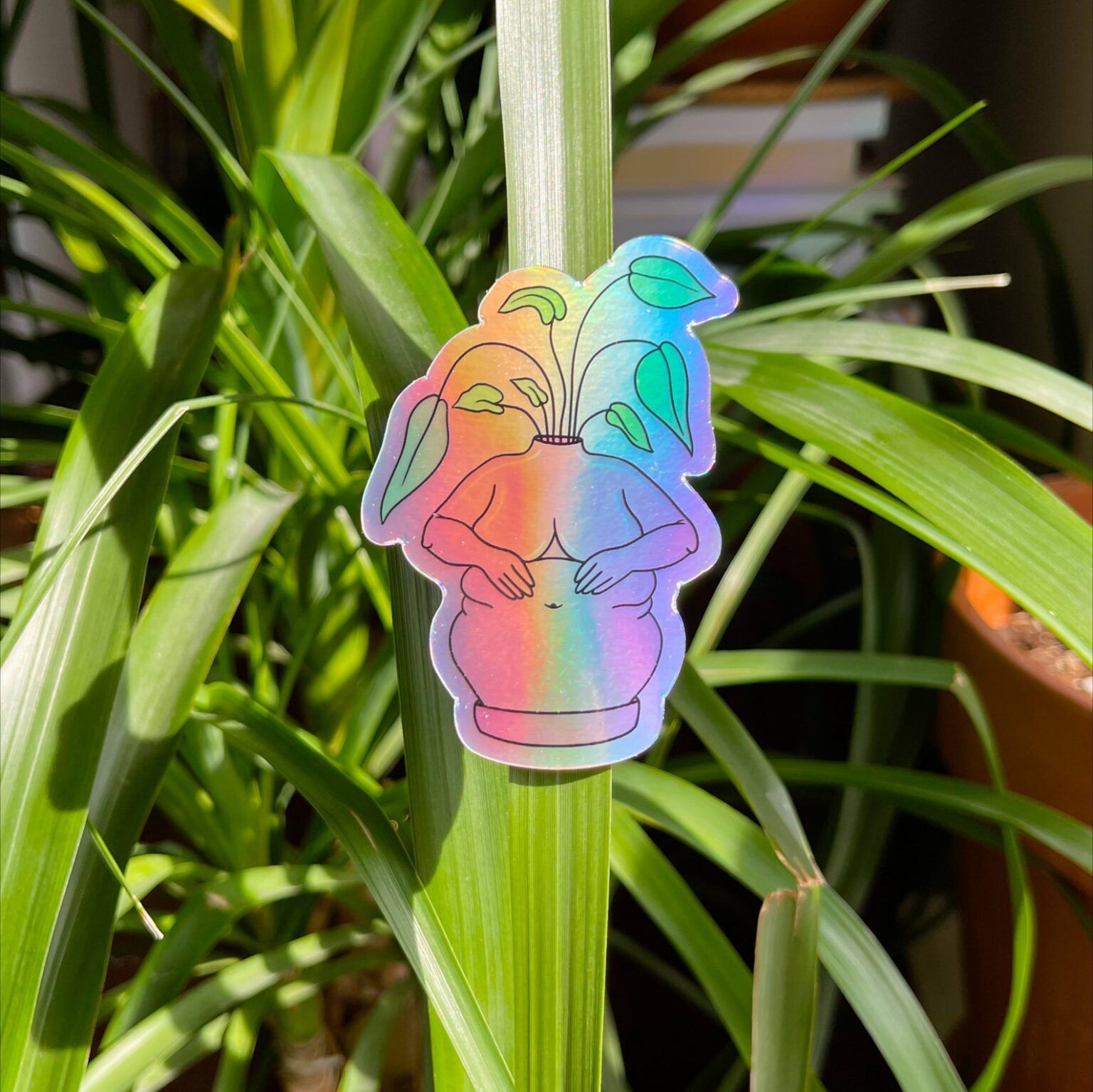 Angela Alba- greenhouse fatty