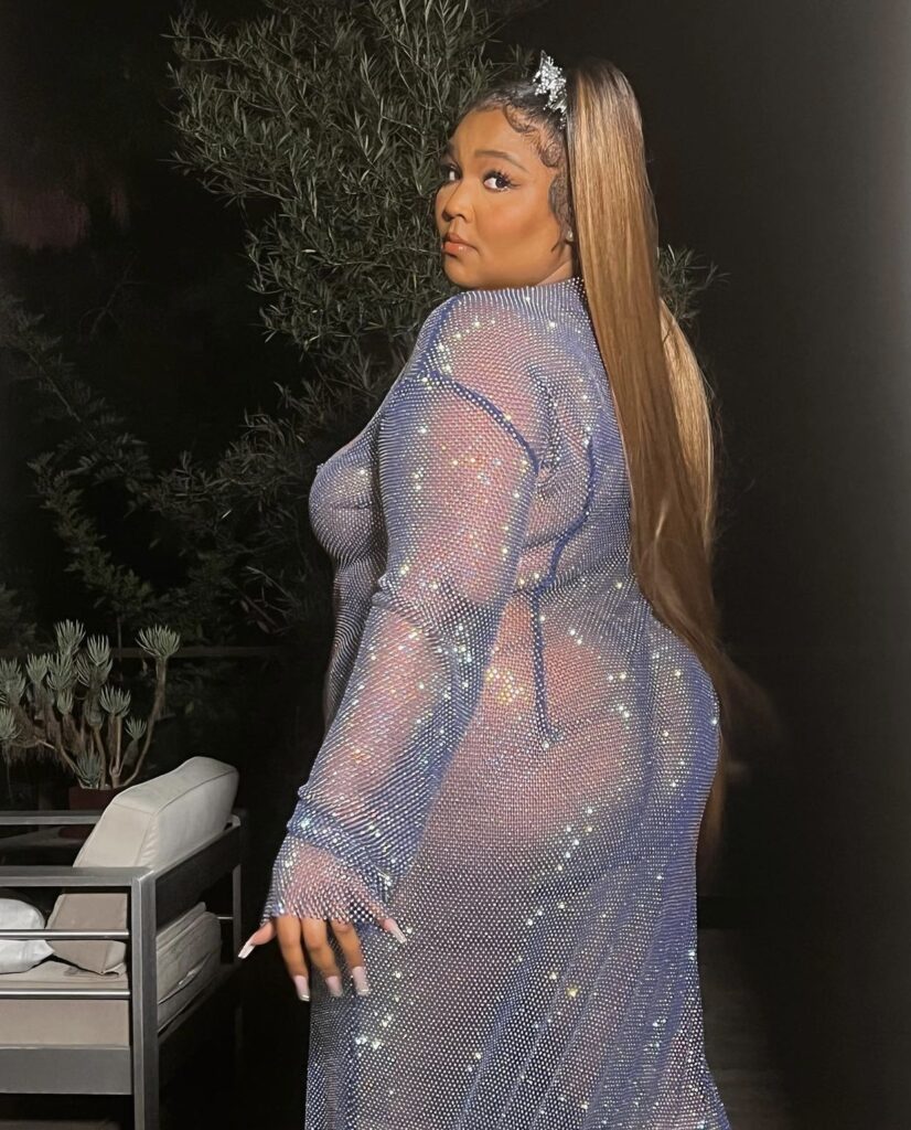 Sheer Lavender Dress Exposes Fatphobia