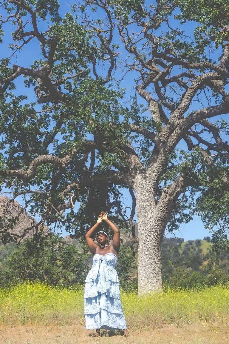 A Summer In Malibu Zelie for She- California Dreaming Dress 3