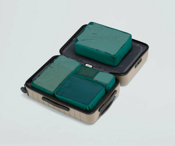The Insider Packing Cubes Set of 4 2
