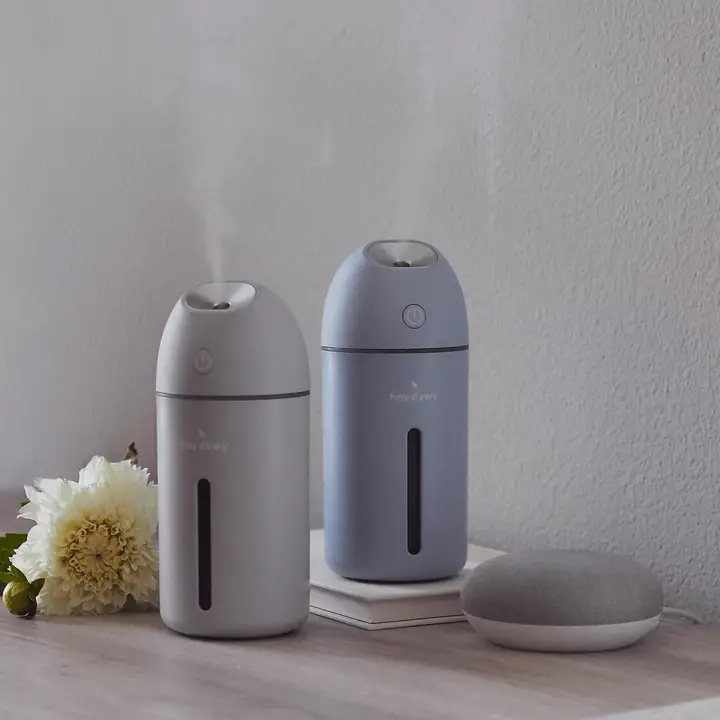 Hey Dewy Wireless Facial Humidifier