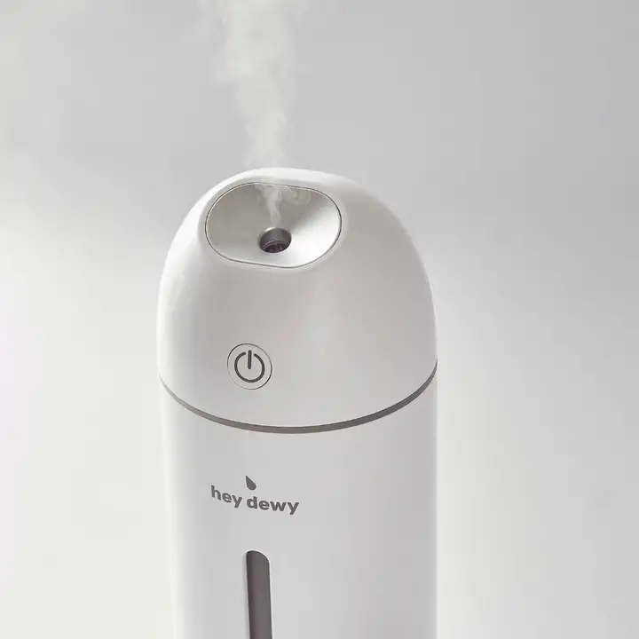 Hey Dewy Wireless Facial Humidifier