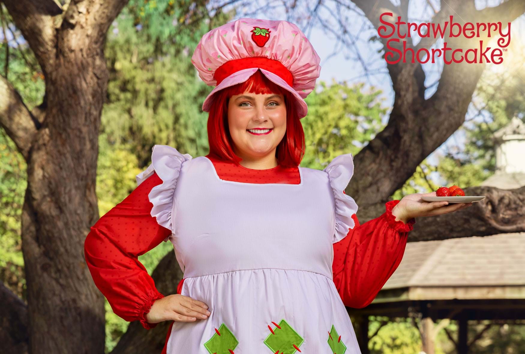 Womens Plus Size Classic Strawberry Shortcake Costume e1760564074253