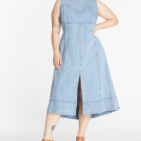 Marion Plus Size Denim Dress