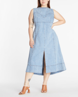 Marion Plus Size Denim Dress