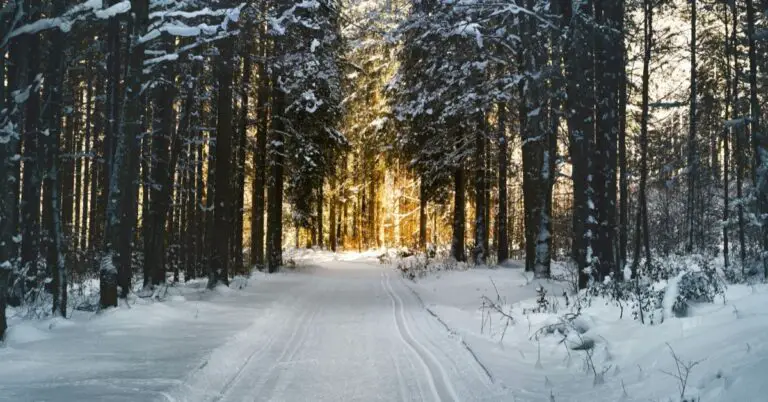 how seasonal depression took over my life
