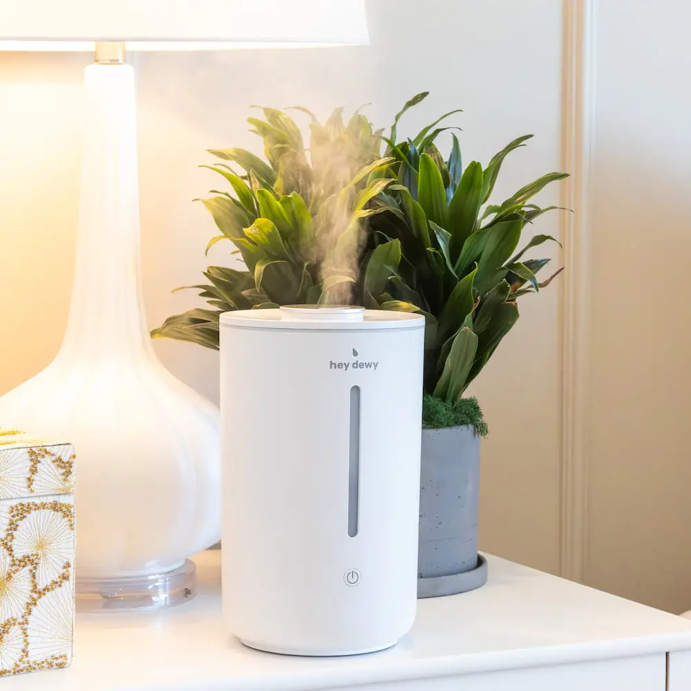 Winter Skincare Essentials- Hey Dewy Wellness Humidifier