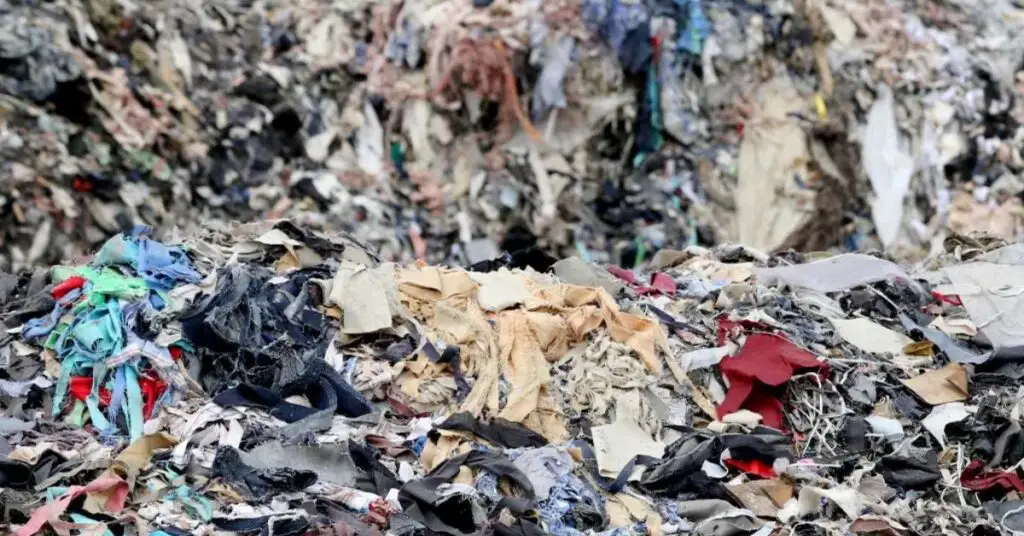 Untitled 1024 × 683px 95