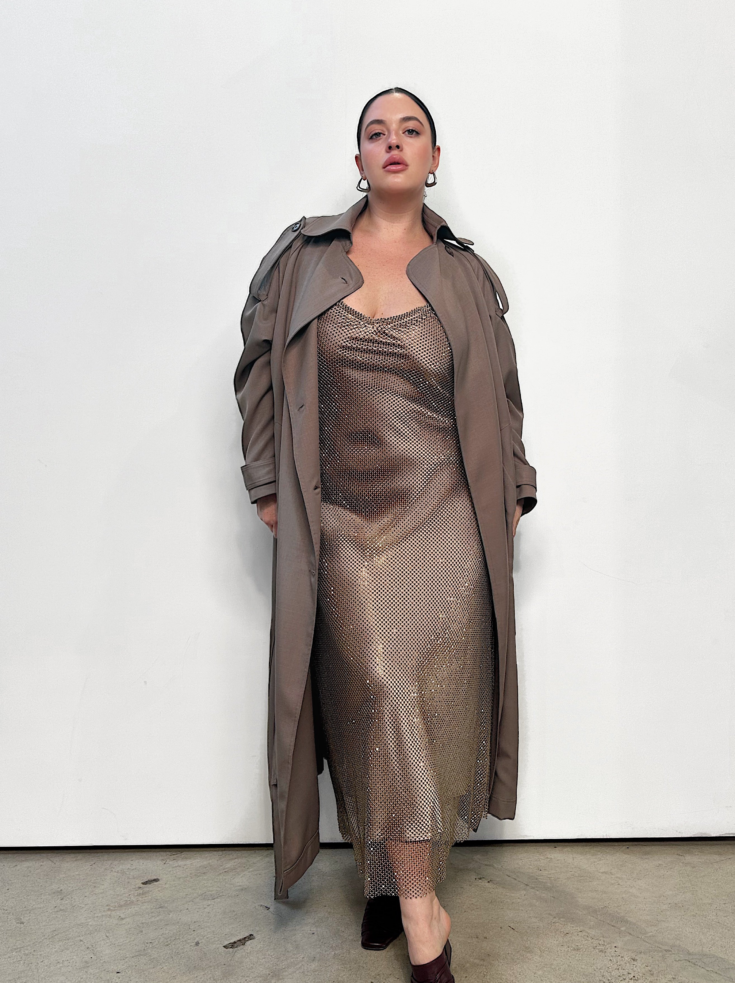 The Crystal Stone Mesh Dress Champagne