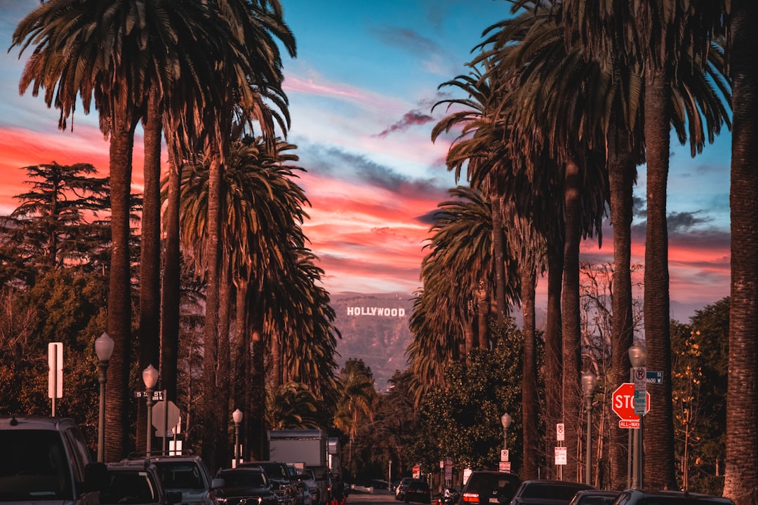 The Collective Impact: Changing Hollywood Forever (image credits: unsplash)