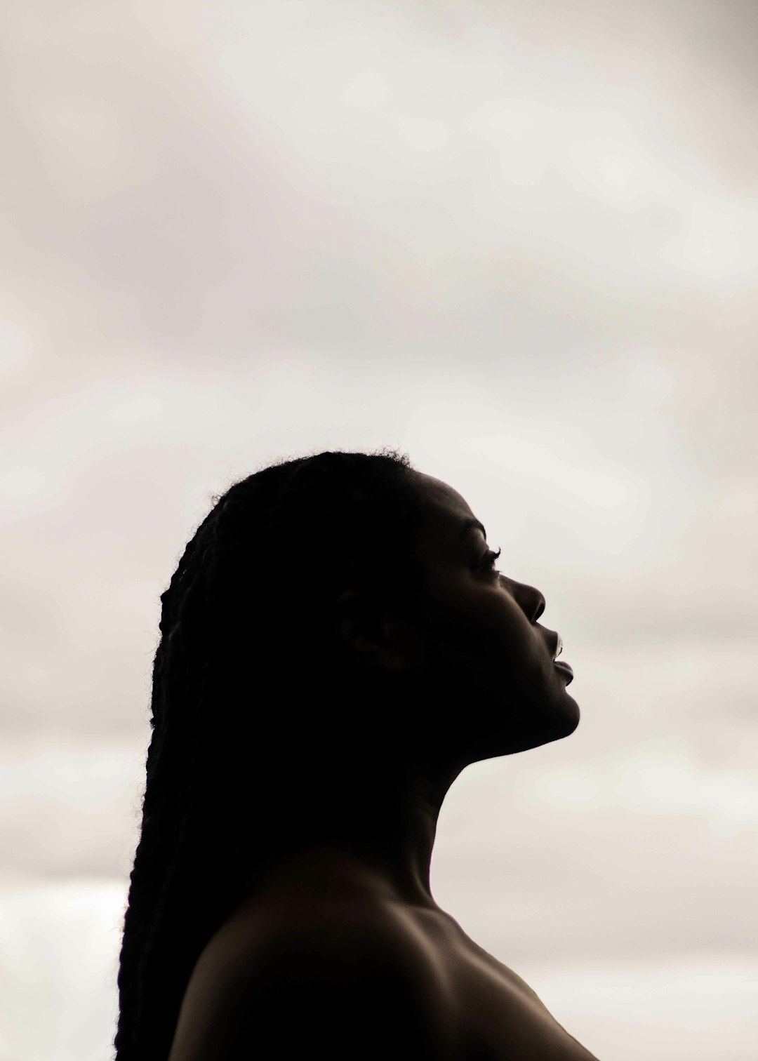 Remembering Its Roots (image credits: unsplash)