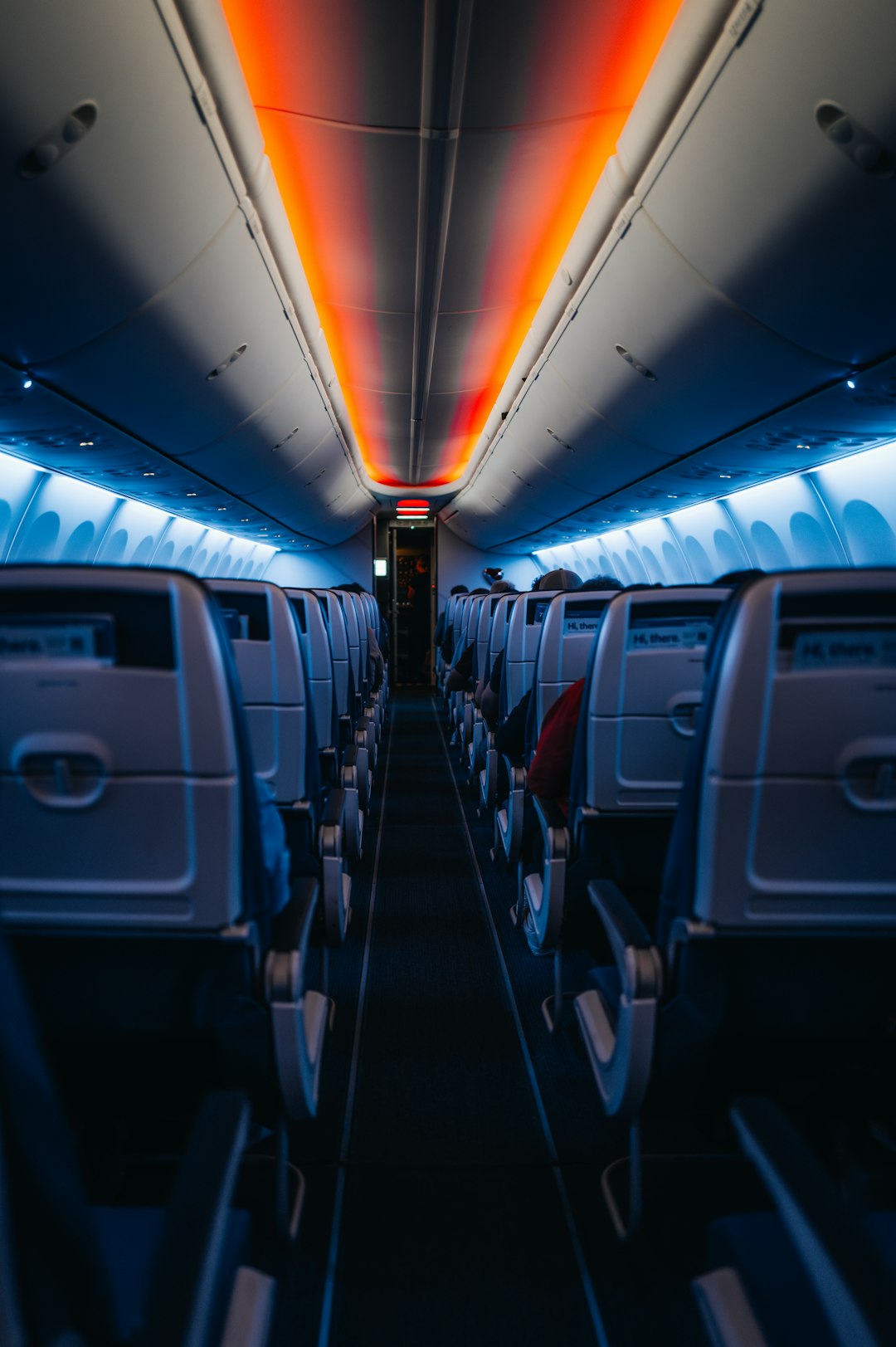 Airline's Statement On The Change (image credits: unsplash)
