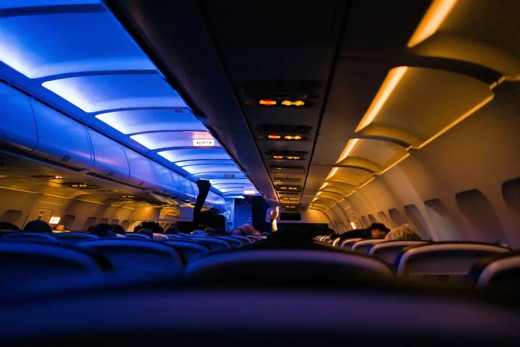 The Anxiety of Flying Larger (image credits: rawpixel)