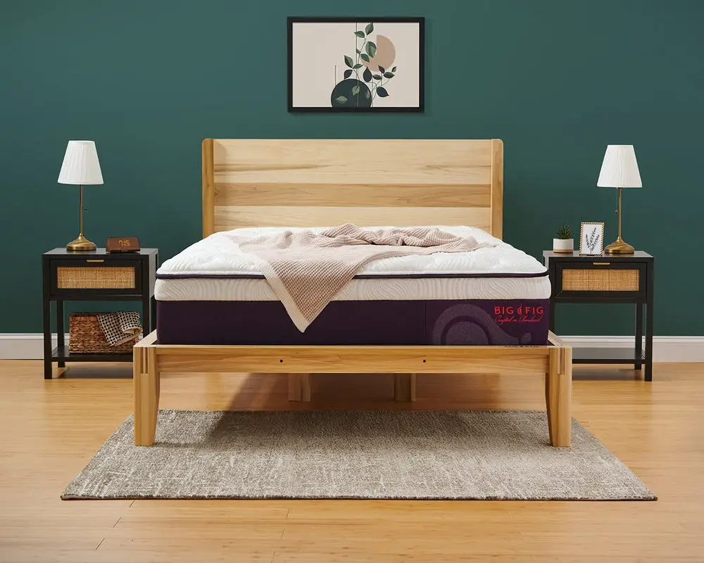 New Big Fig Mattress