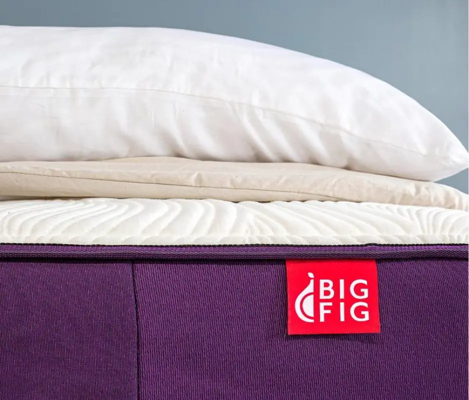 big fig mattress feature