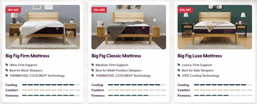 The New Big Fig Mattress