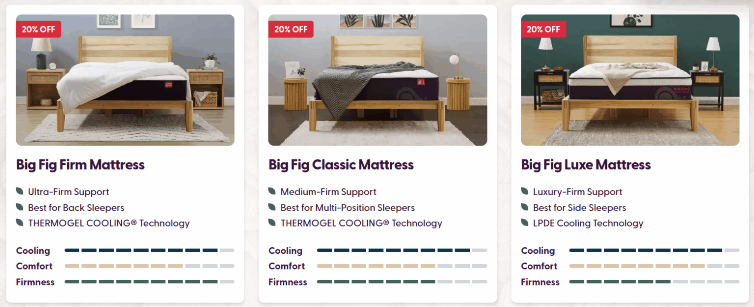 The New Big Fig Mattress