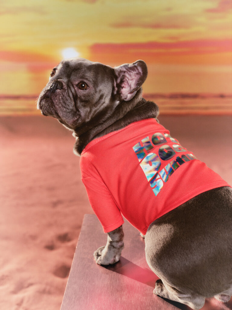 Meg Thee Stallion x Walmart expands the Hot Girl Universe with size inclusive swim up to 5XL, plus menswear and pet looks. Shop before it sells out.